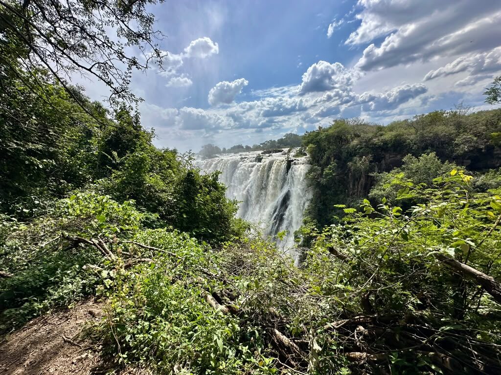 Water pouring over the lip of Victoria Falls into the gorge, seen from a bush-covered viewpoint