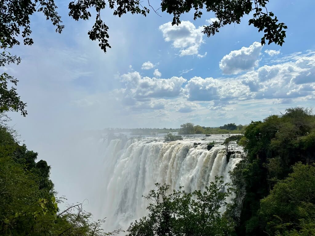 Wide view of Victoria Falls in full flow, framed by green trees and a cloudy sky